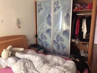 其它图