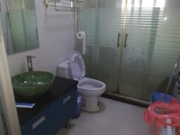 其它图