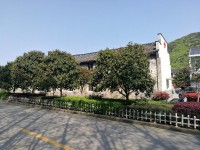 其它图