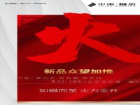其它图
