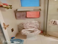 其它图
