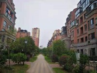 其它图