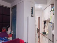 其它图