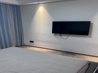 其它图