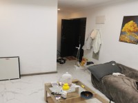 其它图