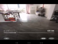 其它图
