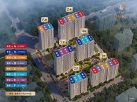 其它图